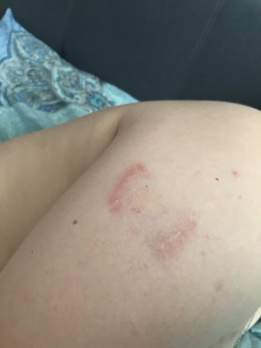 тёплый май tweet media