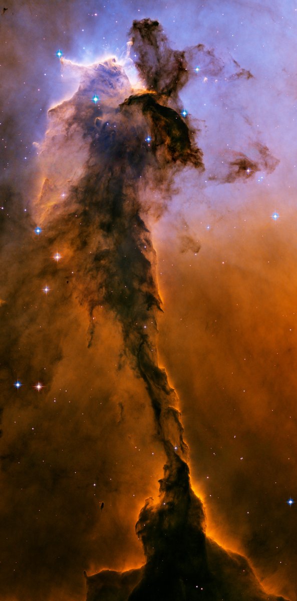 A towering pillar of cold gas in the Eagle Nebula (M16), about 10 light years high. It's being boiled away by intense UV radiation from a cluster of new stars just off the top edge of the image. Stars are likely forming within.Credit: NASA, ESA, Hubble Heritage Team (STScI/AURA)