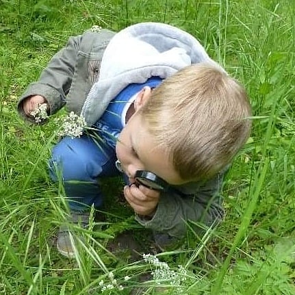 InBredius's tweet photo. Nog op zoek naar een leuke #thuistip om i n  je eigen tuin op safari te gaan? Check onze facebook-pagina: https://t.co/n2GFy4jkKa
#thuisonderwijs #woerden #staysafe https://t.co/EzeenXQz83