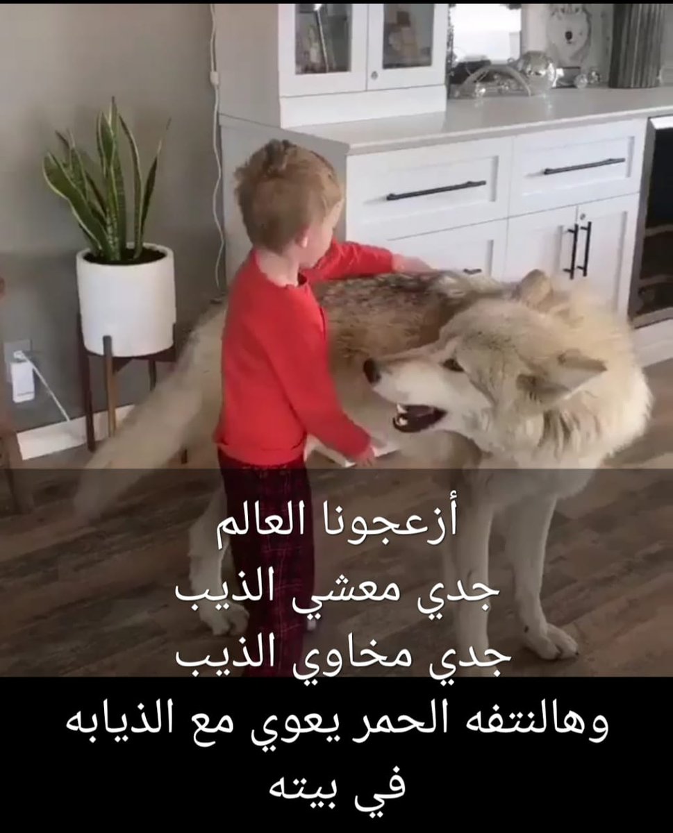 ebrahim1909's tweet photo. https://t.co/jqivGqYNfx