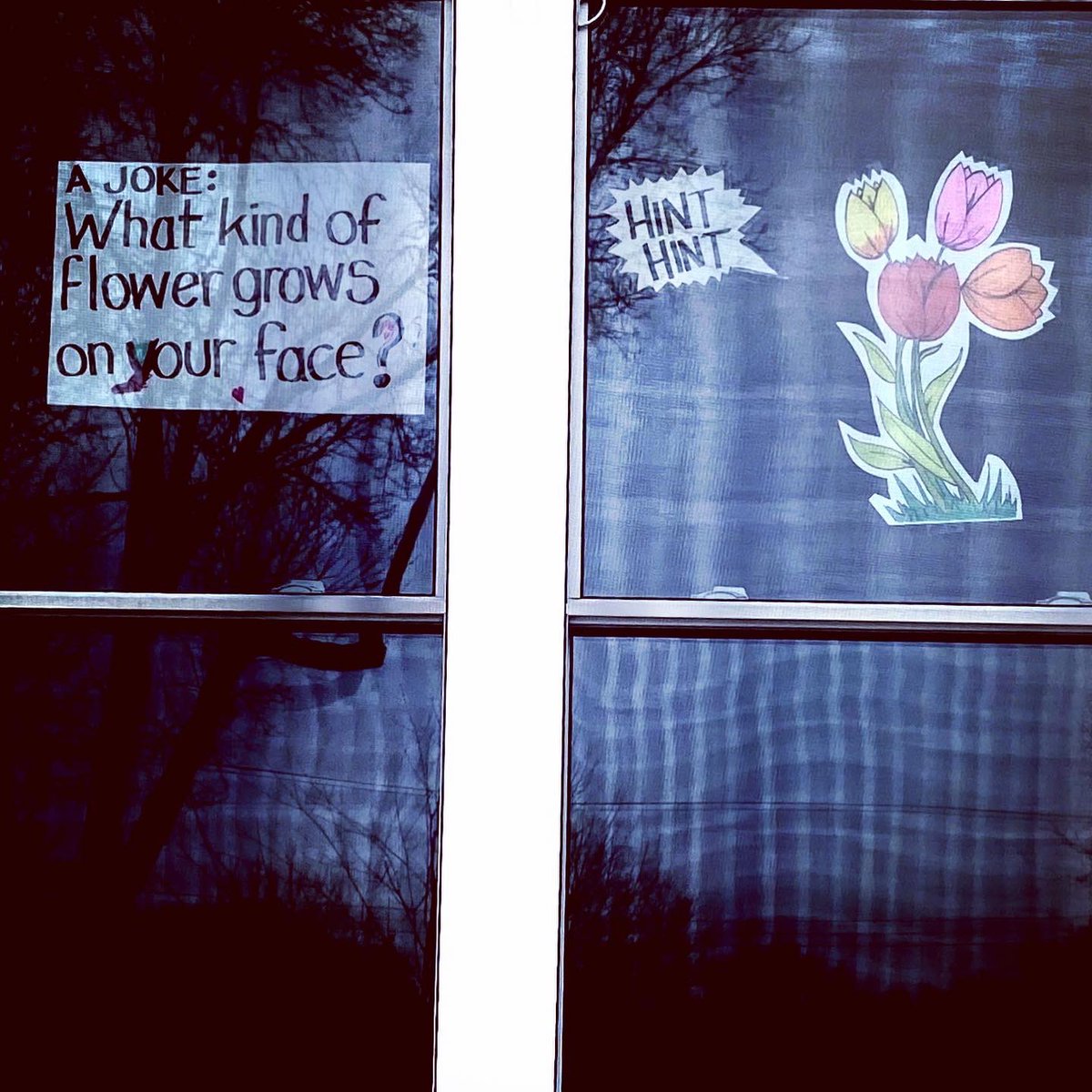 RiversideParkCR's tweet photo. More jokes from #RiversidePark that neighbours have posted as part of the April 1st #WindowWalk #ScavengerHunt. Share photos of the jokes you find in your neighbourhood. #AprilFoolsDay https://t.co/7xmAGIym8a