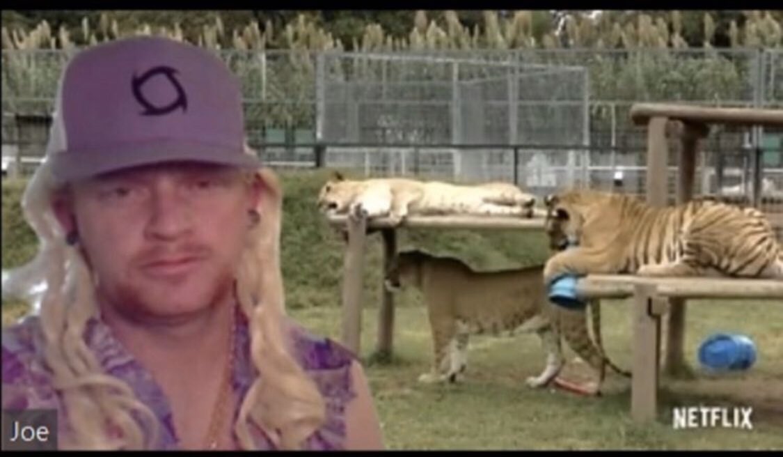 Preston Darger tweet media