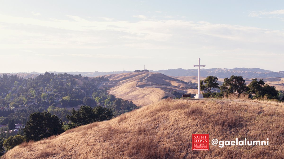 GaelAlumni's tweet photo. Looking for some Zoom backgrounds? We have you covered!
#omgsmc #GaelsForLife https://t.co/OQNyzJ7tuD