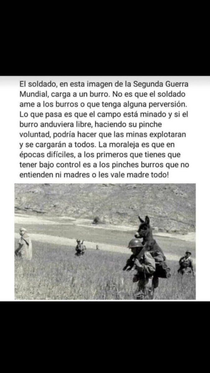 verito3002's tweet photo. Y estas épocas de crisis se ve cada burro gobernando... https://t.co/zBKJYhSEzP