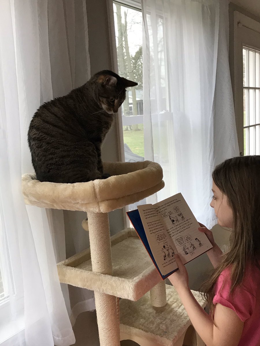 EmilyDauster's tweet image. Wet Nose Wednesday - celebrating Virtual Spirit Week with our four-legged friends #FVFoxes