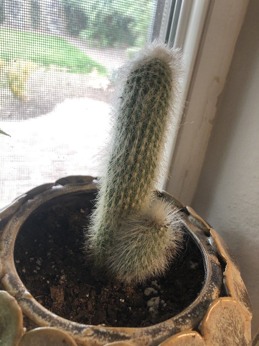 Haylee (@misssmiley2001) | Twitter