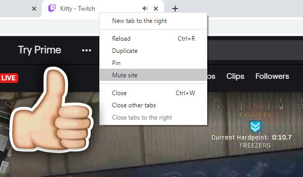PSA for the people who don't know:

Hitting mute on a stream makes the streamer lose you on the viewer count.

Muting the site keeps you on the viewer count!

If ya'll tend to lurk, consider the extra click to keep the support running on your favourite streamers 👌