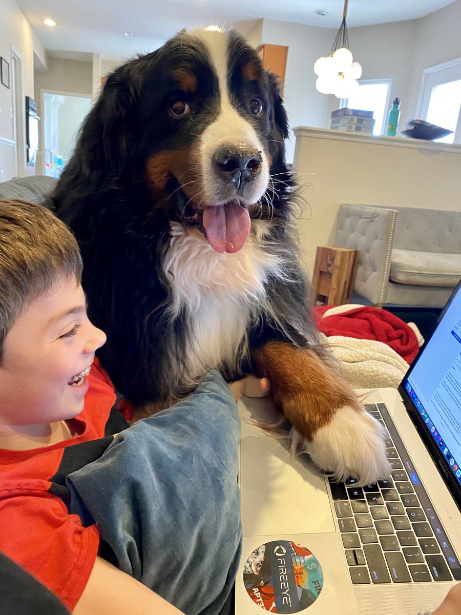 Life @ Trellix tweet media