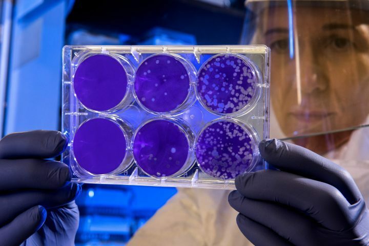 SteamaticQueen's tweet photo. One of our goals at Steamatic is to provide our customers with a healthy home or business.  UVC rays are being used to sterilize airplanes, hospitals, and other highly trafficked places.  We can provide UVC protection for your home to stop the spread and… https://t.co/Rtuam04Z8t https://t.co/BK8sduZKJ4