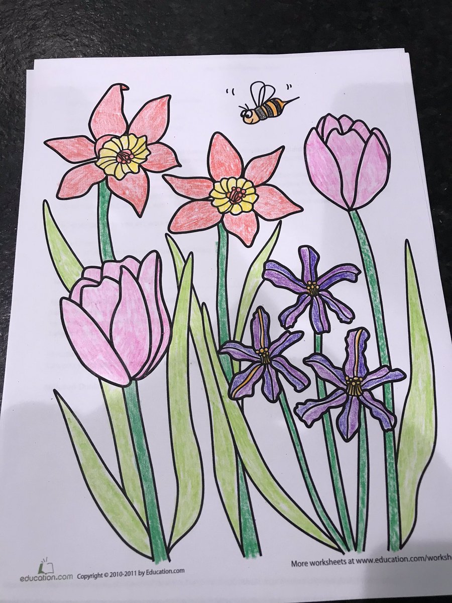 BelAirKinder tweet media