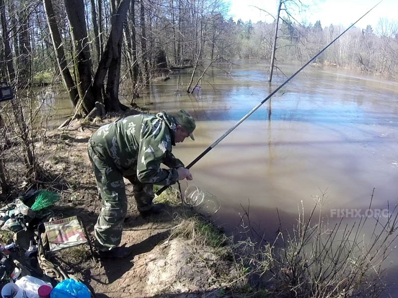 fishx_org's tweet photo. #Рыбалка #fishx_org #Уклейка #Отчетыорыбалке 
Приближается время уклейки - https://t.co/6QmysYXjG3 https://t.co/w9YHXYcefd