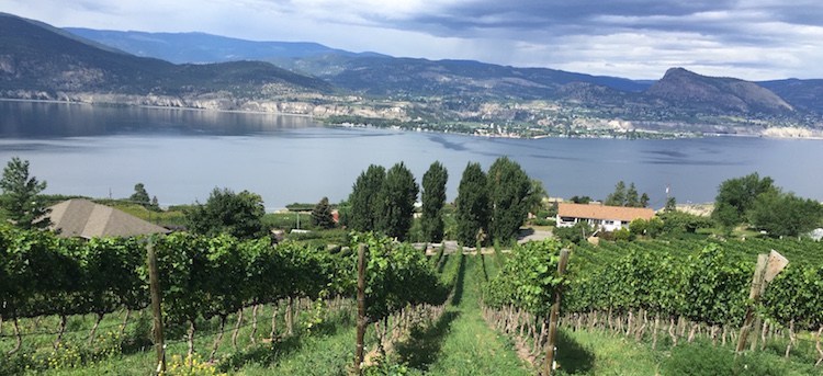 Tim Pawsey gives you 5 Reasons Why You Should Buy BC Wine On-line 
#5. You can help others
tinyurl.com/yx37rfre <a href="/winebcdotcom/">WineBCdotcom</a> <a href="/kismetwines/">Kismet</a> <a href="/LarianaCellars/">Lariana Cellars</a> <a href="/TinhornCreek/">Tinhorn Creek</a> <a href="/vinAmiteCellars/">vinAmité Cellars</a> #bcwine