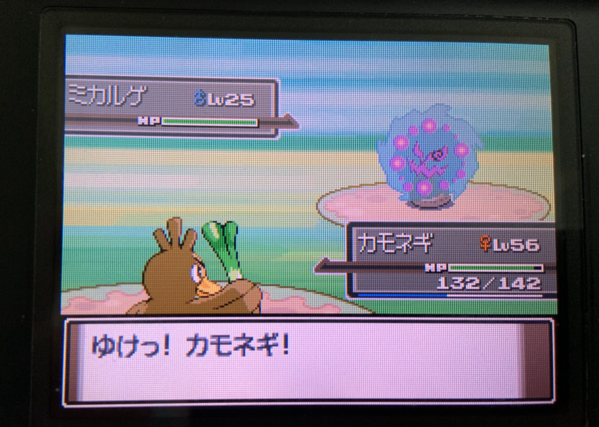 スタールフ No Twitter ポケモン プラチナでよく色伝説の乱数成功は見られるけど 同じ固定系シンボルで出てくるゴーストポケモンたちの乱数成功したから紹介する ミカルゲもフワンテも可愛いし良い色してるだろう T Co 2alvwopwic Twitter