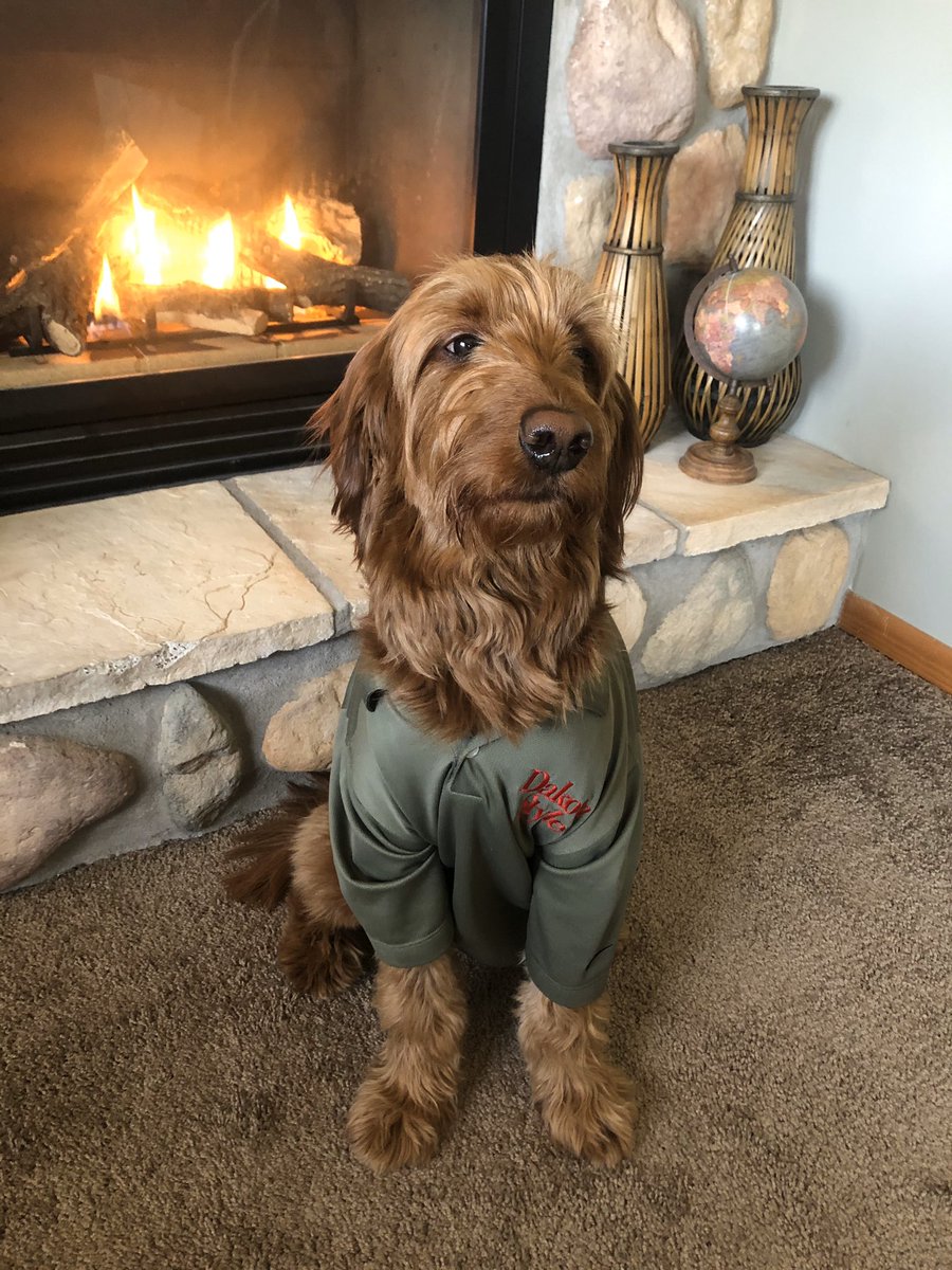 DakotaStyle's tweet photo. Let’s brighten everyone’s day!! Post a picture of your pet between now & this Friday by noon. The picture with the most likes wins some DS swag!!
#dakotastyle #dakotastylefoods #weloveourpets #winsomeswag https://t.co/apwoUg9jyR