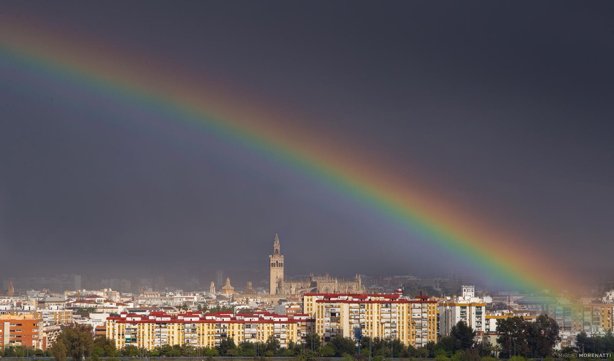 MiguelMorenatti's tweet photo. Esta tarde Sevilla si que ha tenido un color especial...

©MiguelMorenatti https://t.co/taNIVJGYE2
