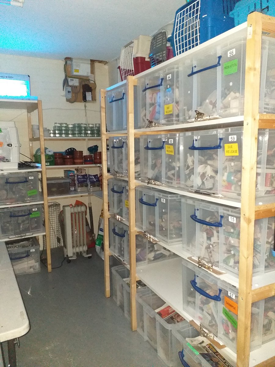 Zero income but battling on in our attempts to save wildlife. Life in our beautiful purpose designed clinical Hoggery is tough right now. If you can help us stay afloat, we would love to hear from you.