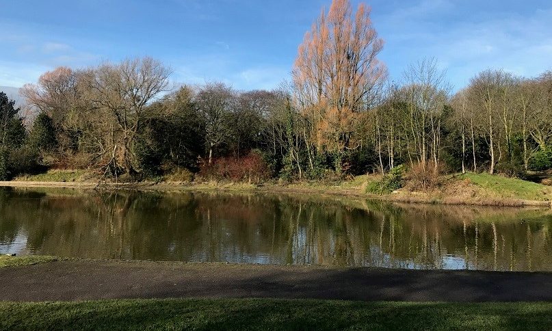 OneFellTweet's tweet image. As organisations across the industry try to make the best out of the situation that the pandemic has brought upon us, we're glad to say that this month's newsletter isn't solely a who's who of postponements:  'THE SWOOP' - Issue 63, April 2020 - mailchi.mp/onefellswoop/t…