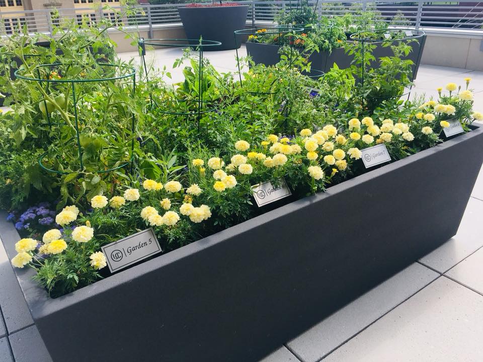 "April showers bring May flowers."
 🌹 🌺 🌼 
Did you know One University Circle offers our residents their own private garden. Check out this months Newsletter for more details. Share a photo of your dream garden!