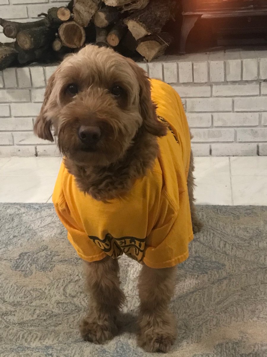 It's School Spirit Day! Mrs. Kral and Carson are sporting their Conrady gear :) #npd117learns #conradyjaguarsathome