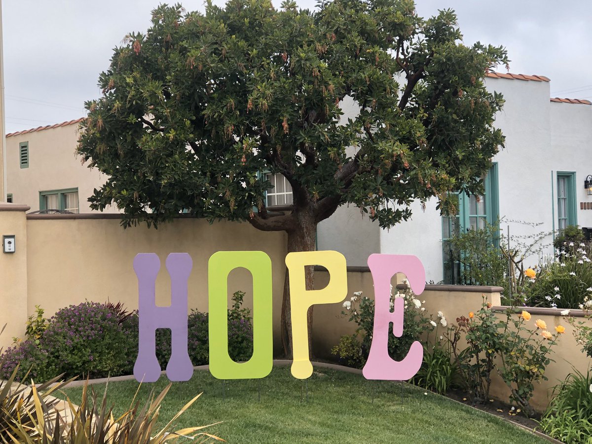 Just saw this in my neighbors front yard.