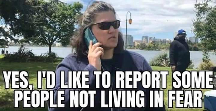 therealjavalily's tweet photo. #DontRatOnYourNeighbors #NotGermany #Stasi #Spies #MindYourBusiness #Karens https://t.co/INW0iXgbf5