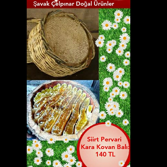 Kahvaltı sofralariniz bizimle daha lezzetli...
Doğal olan herşey..
0532 056 89 23