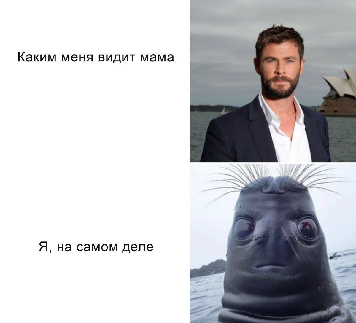 Как я выгляжу на самом деле Мем