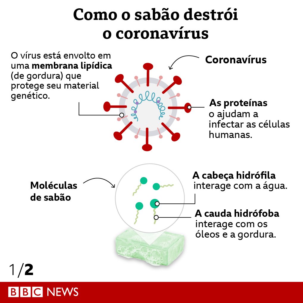 bbcbrasil's tweet photo. O que o sabão faz contra o coronavírus?  🧼💦 Esses gráficos te dão uma ideia, mas explicamos em detalhes em: https://t.co/11dRNEZNGH https://t.co/ZtMB0sradJ