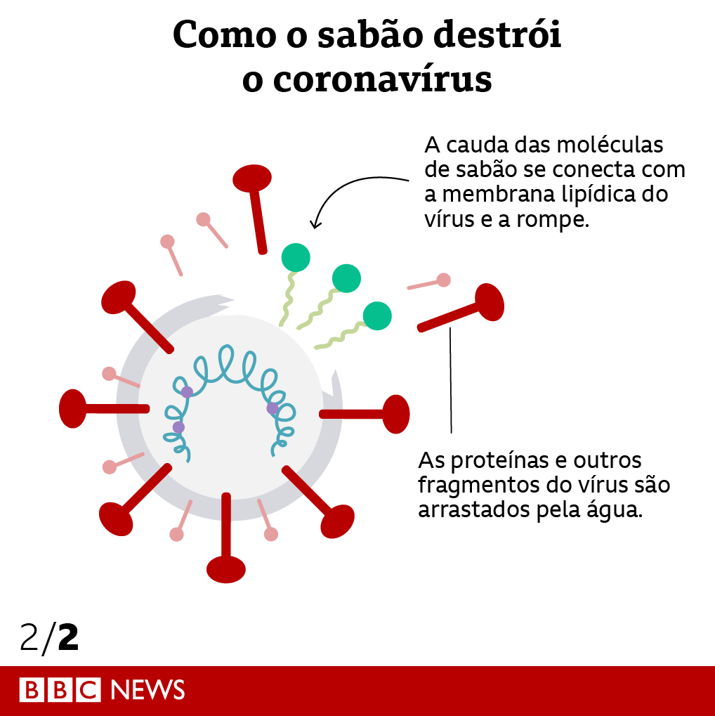 bbcbrasil's tweet photo. O que o sabão faz contra o coronavírus?  🧼💦 Esses gráficos te dão uma ideia, mas explicamos em detalhes em: https://t.co/11dRNEZNGH https://t.co/ZtMB0sradJ