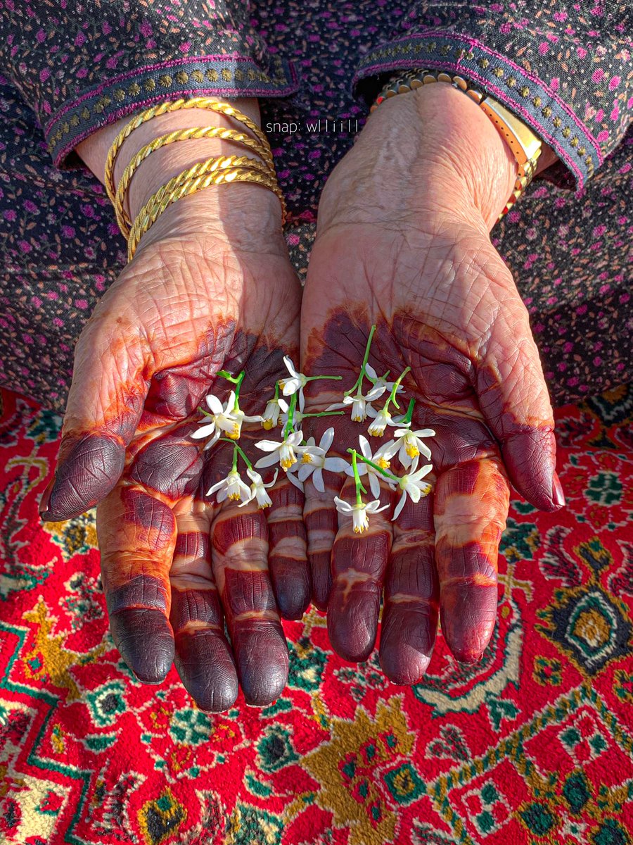 -عصرية اليوم كانت برفقة جدتي💛