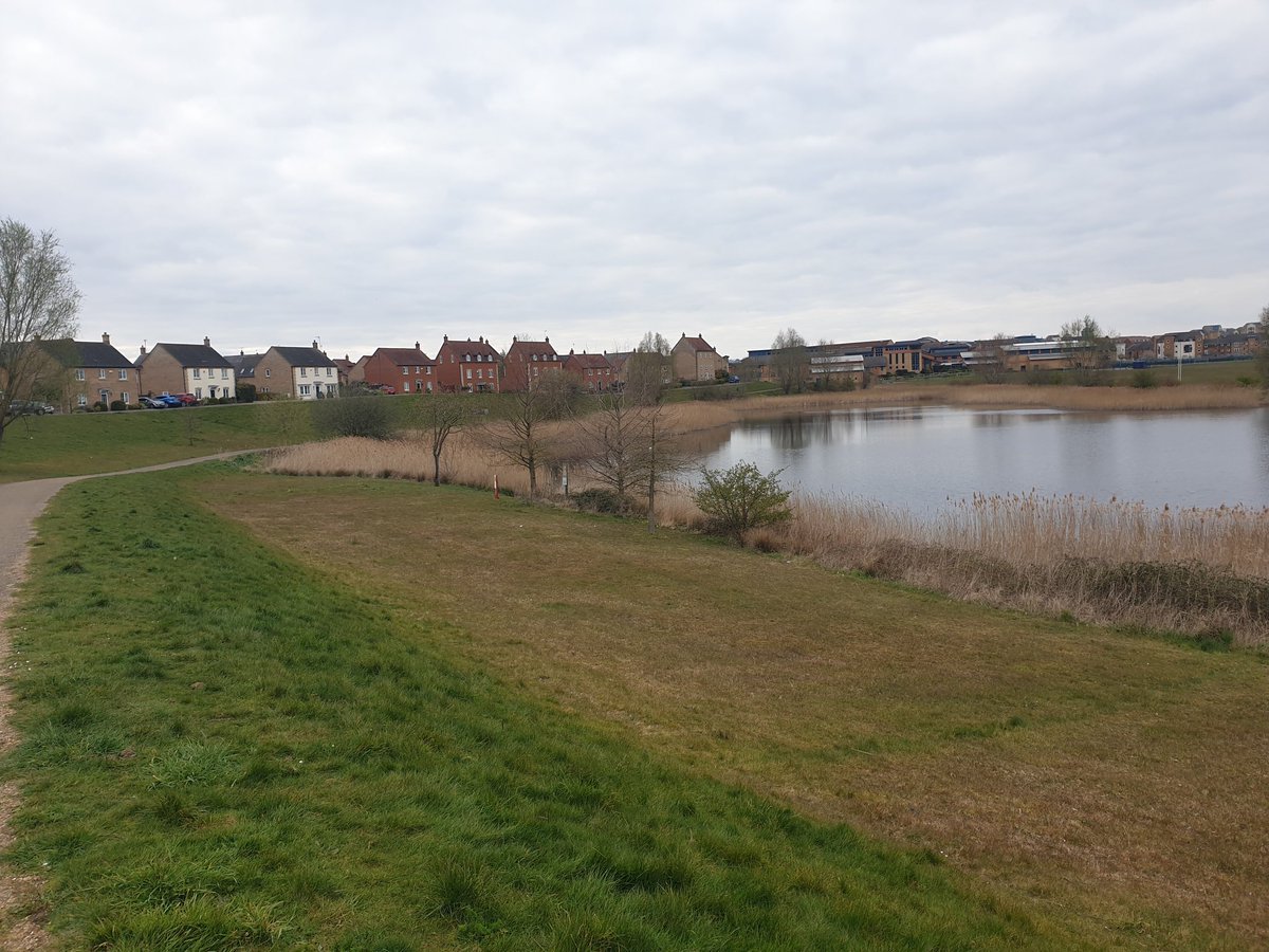 katerider_'s tweet photo. Grateful I can still run around my neighbourhood and all the pretty lakes (this is actually the smallest one but still plenty of room for the swans) https://t.co/lzPMsWXOOW