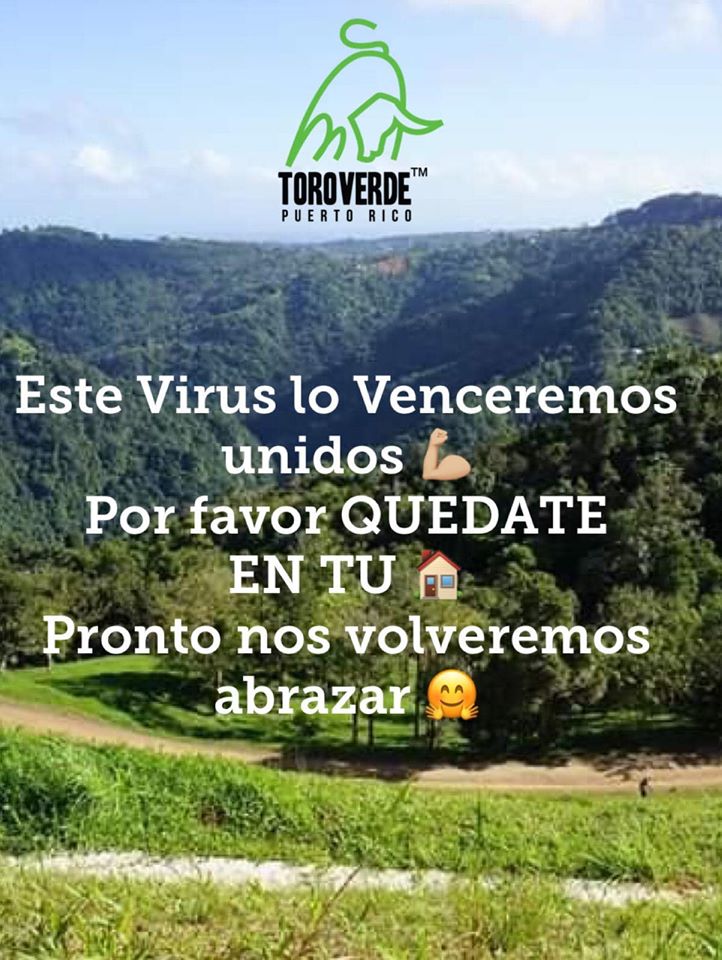 Toroverde Adventure Park tweet media