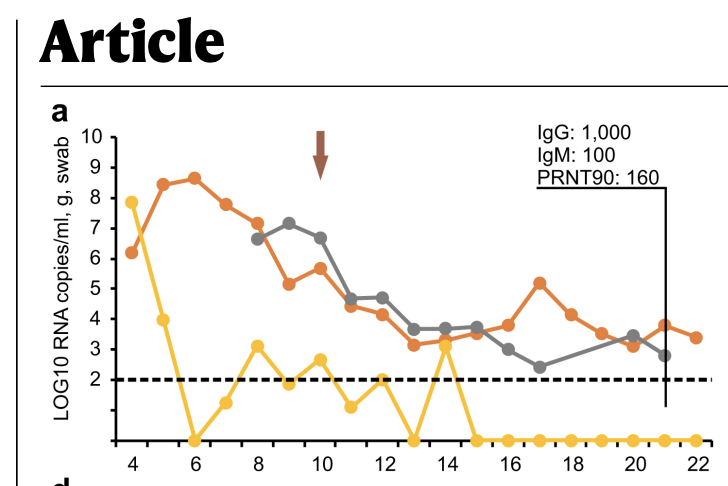 German study on viral load kinetics and seroconversion timescale, out in  @nature. Highlights huge time sensitivity of swab testing, viral loads in upper respiratory tract tank after ~5 days of symptoms (swabs are yellow line, orange is sputum).