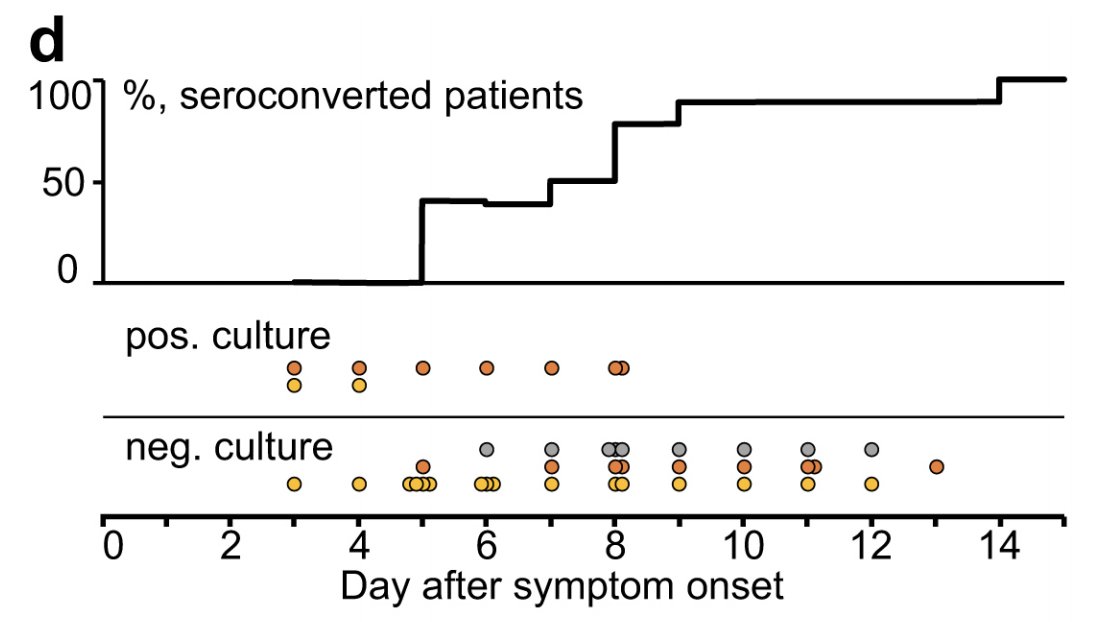 Link to study, sorry:  https://www.nature.com/articles/s41586-020-2196-x_reference.pdfSeroconversion is also slow! Only 50% after 7 days. This is important for applications of commercially available rapid serology tests, e.g. for back to work programs.