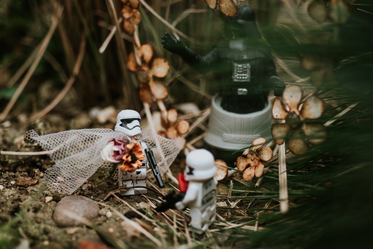 DanielAckerley's tweet photo. Today I shot the wedding of TK-421 to TK-209 on Naboo! A short tour of duty on the Death Star, before they honeymoon on Scariff, the Right Reverend Darth Vader conducted the ceremony :-) #starwars #wedding #lucasfilm #disney https://t.co/Flq2yThqx3
