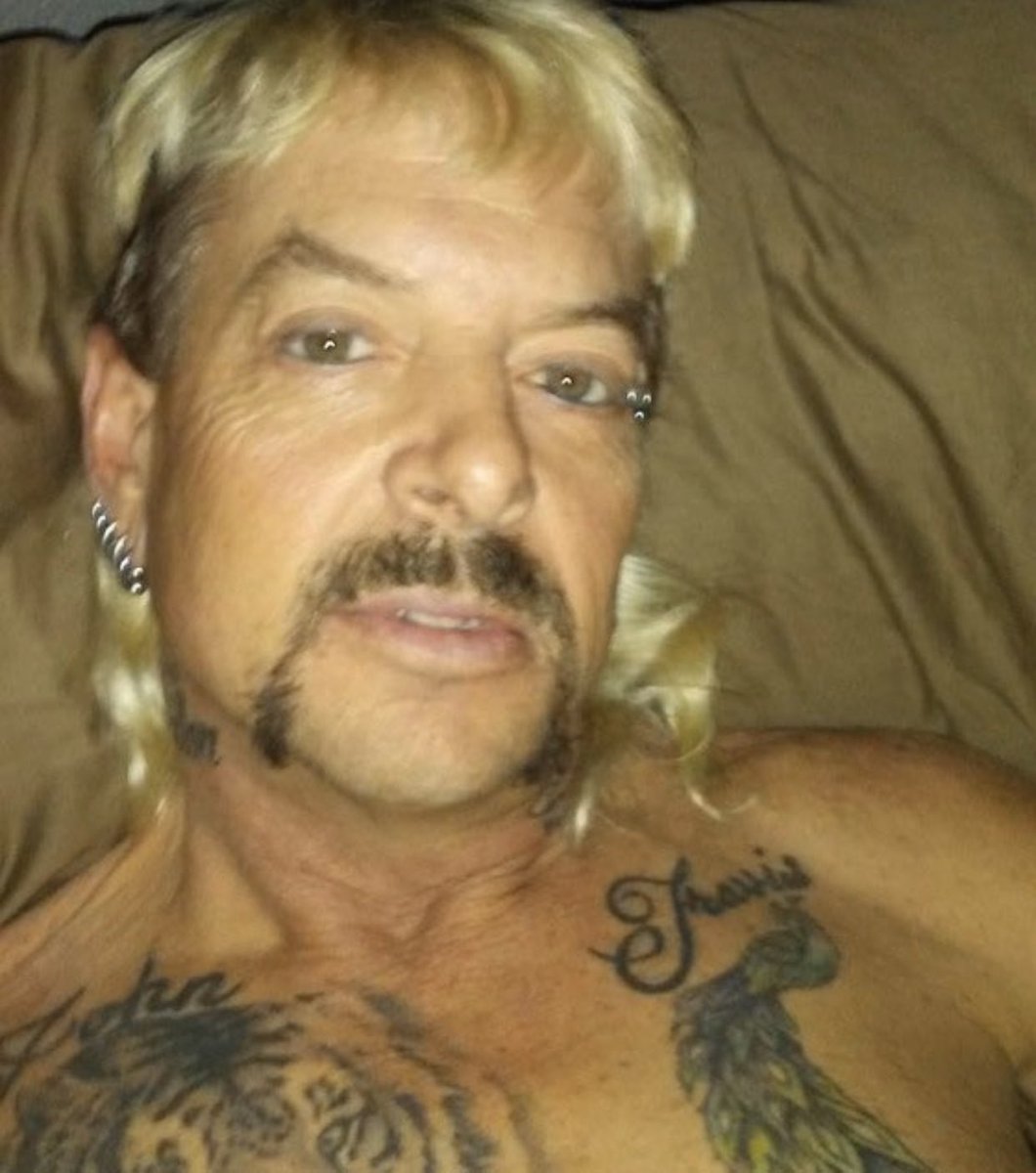 AverrageMerican's tweet image. 100% American