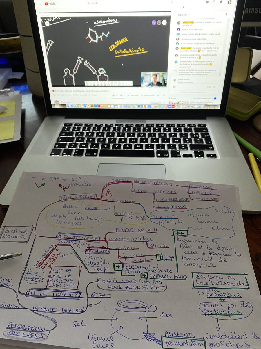 (2/2) Mais pas ce mois-ci avec le covid-19 ! Meiso propose aussi des conf, ici sur comment renforcer son immunité (sujet du moment héhé), j’ai pris quelques notes ! J’utilise les schémas heuristiques, ça m’aide à me concentrer, organiser les infos et à les retenir.
