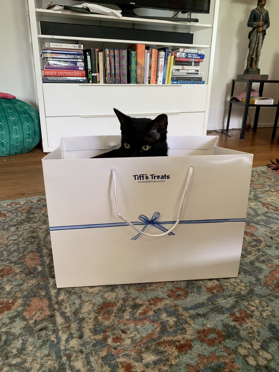 HollyBowles's tweet photo. Wish I could nap in a big, warm cookie bag like baby g https://t.co/17NI8WVaJj
