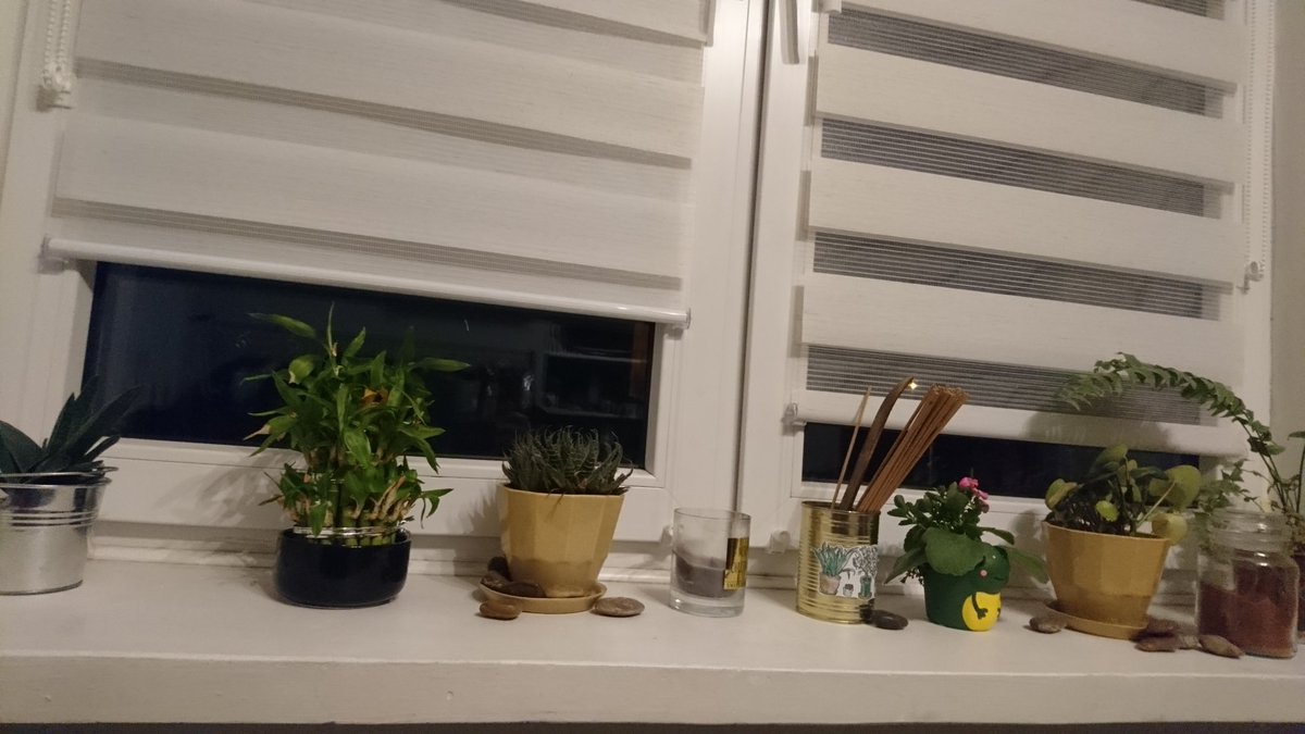Bidette (@bidette__) on Twitter photo Okay, I know it's a weird flex but since I have some free time I've crocheted a hanging organizer for my stuff, so my window would finally be mess free #StayHome #crochet Okay, I know it's a weird flex but since I have some free time I've crocheted a hanging organizer for my stuff, so my window would finally be mess free #StayHome #crochet