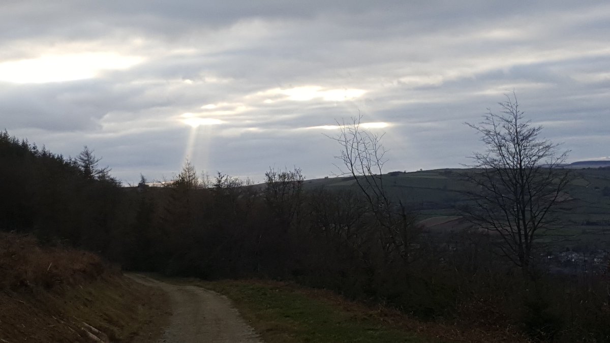 PatsyNorman4's tweet photo. Aliens may exist after all 🤔 https://t.co/4PYAQvKySx