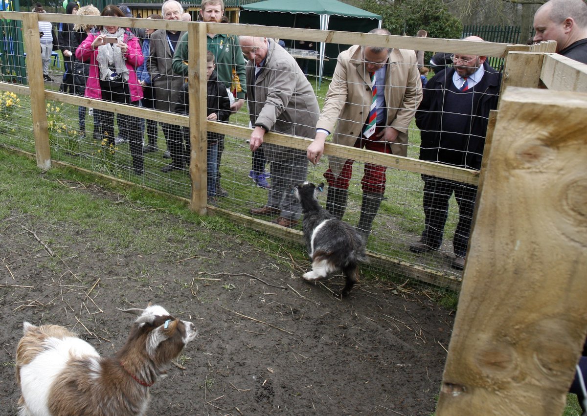 charityspoon's tweet photo. #OnThisDay three years ago, the Wooden Spoon Yorkshire funded farm at @JosephNorton001 was officially opened. The farm provides a therapeutic space where the children can grow their own food and look after the animals.

Read more: https://t.co/WoxIhXf3Ec #helpingkidsthroughrugby https://t.co/6CA3yfP3dB