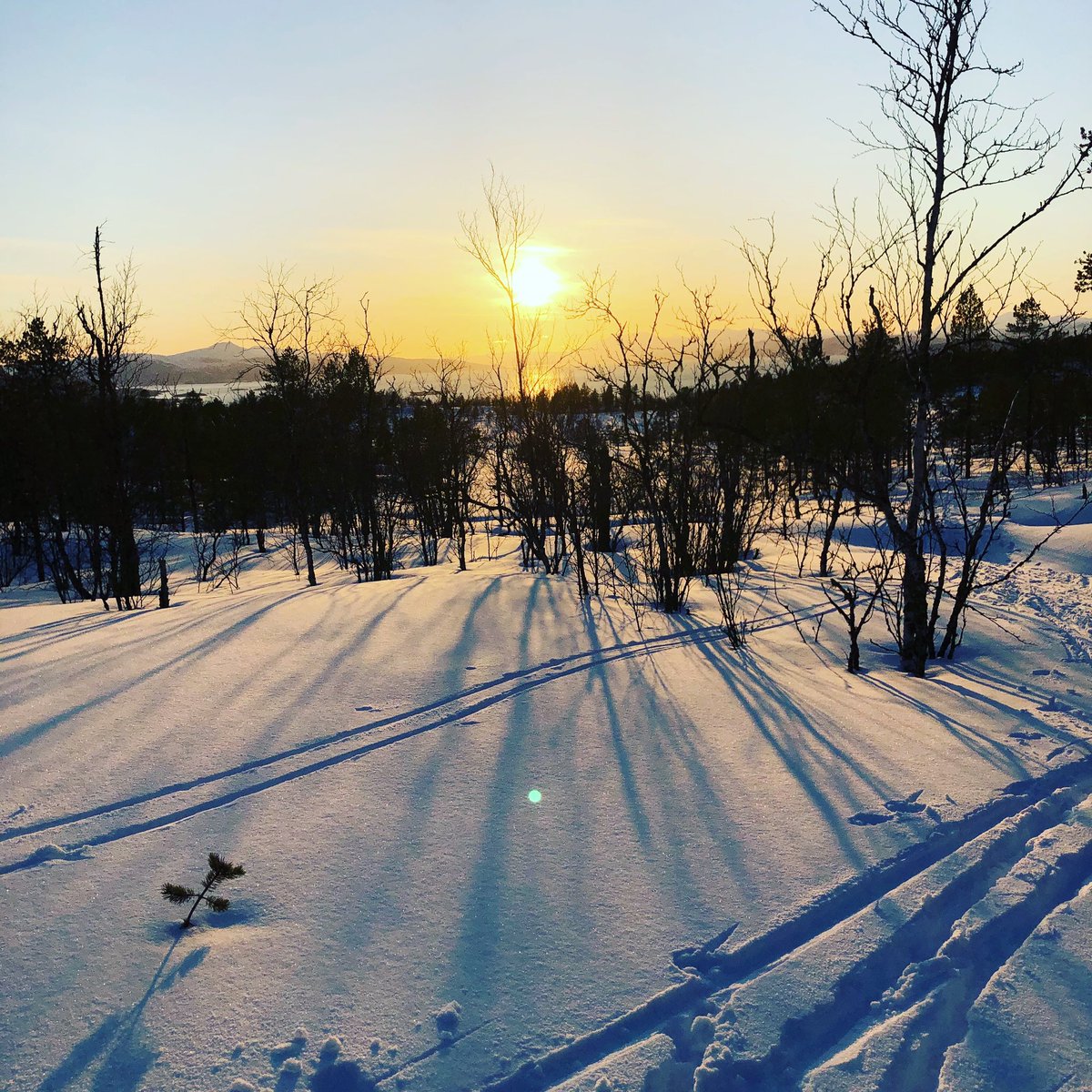 Du snakker om luksus, rett utenfor stuen! Takk for turen @hegeen og @noranj  #norgesråestebakgård #minbakgård