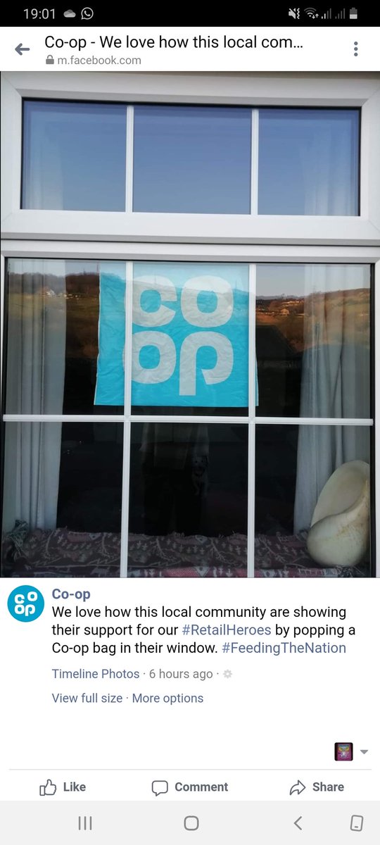 Bolam Anderson (@andersonbolam) on Twitter photo 