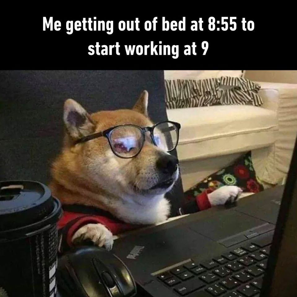 Pyjama Life👨‍💻