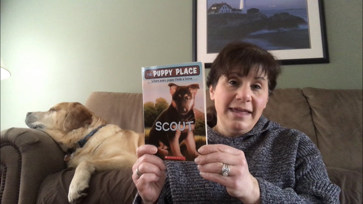 jagdago's tweet photo. Almond relaxing and listening to my reading of “Scout”, by Ellen Miles on Facebook to Mrs. Gauthier’s class.  @kimbergarten #AlmondTheDog https://t.co/v7AwMnpWNk