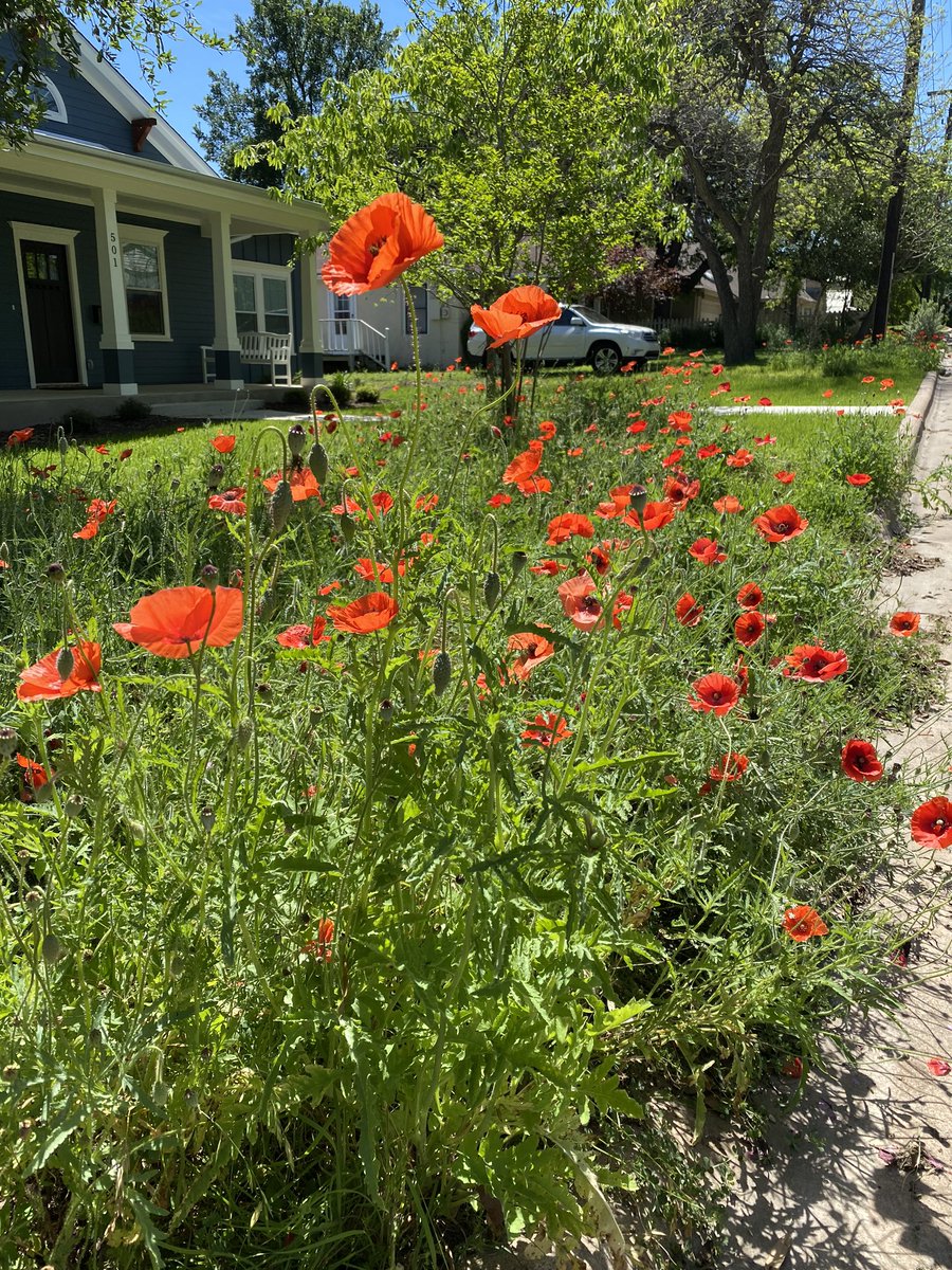 Mrs. Whitmire tweet media