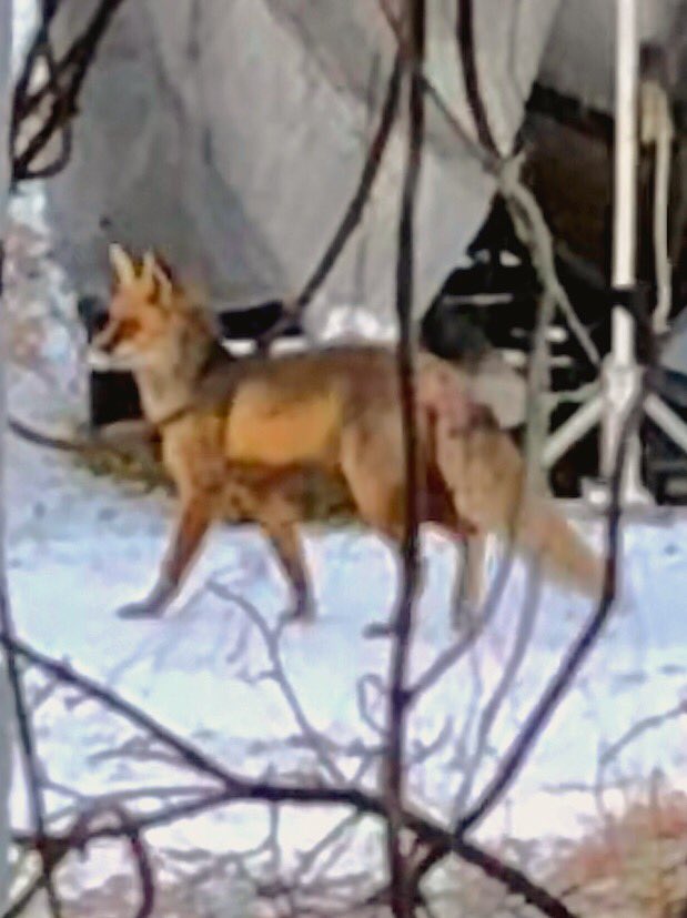 Day 4/7 of my life in pictures. No words. Was nominated by <a href="/Marjutemusto/">marjut mustonen</a>. Today’s nomination <a href="/mikkoriikkinen/">mikko RIIKKINEN</a>.