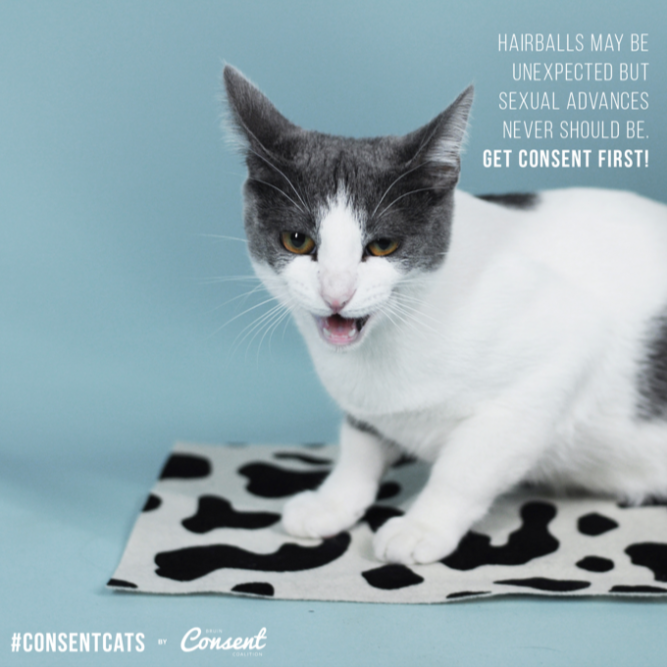 BruinConsent's tweet photo. Hairballs may be unexpected but sexual advances never should be. Get consent first! #consentcats #SAAM #30daysofSAAM https://t.co/hdDztyN8XT