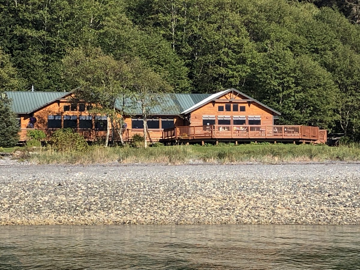 kcmerik's tweet photo. Photo from last year’s Alaska cruise on #OvationOfTheSeas Beach day in Alaska for a salmon bake #virtualoftheseas https://t.co/13iMPdcQeu