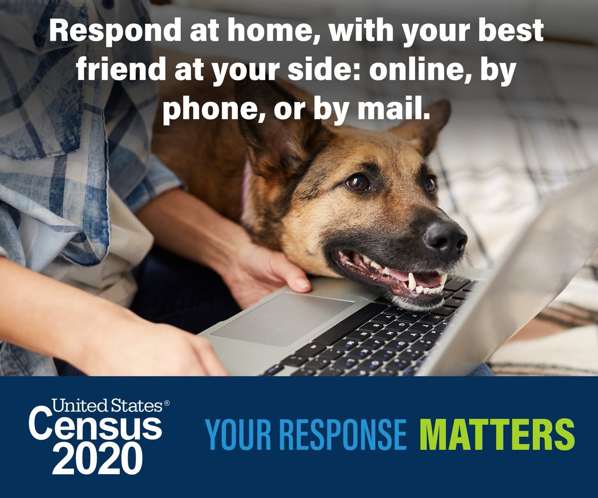 RezabekForJudge's tweet photo. Today is Census Day! Show your support and help us spread the word about the importance of the #2020Census.

Make sure you and your friends complete the census today at https://t.co/PX50Pb15lW! https://t.co/Sfu1E0GPpa